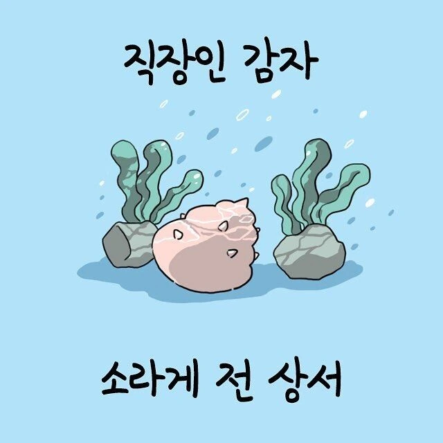 직장인들이 자신의 상사를 볼 때 느끼는 감정