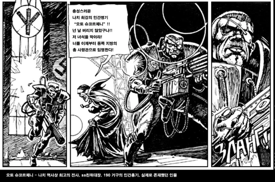 히틀러와 스탈린이 싸우는 만화 - 이미지 12