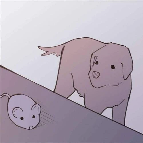 고양이한테 소리지르는 만화 - 이미지 12