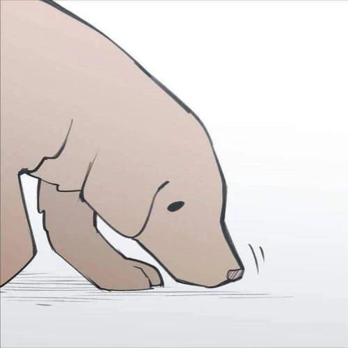 고양이한테 소리지르는 만화 - 이미지 15