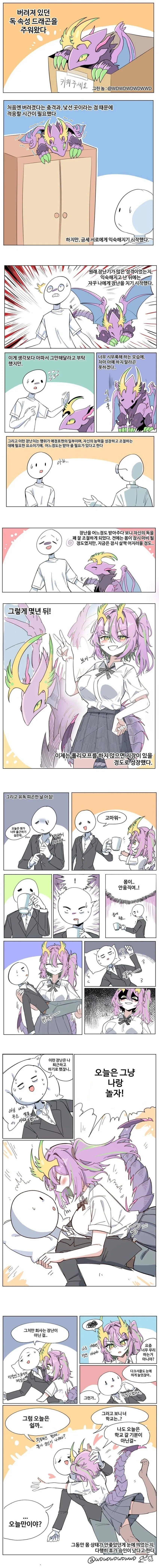 버려져 있던 독 속성 드래곤을 주운 manhwa