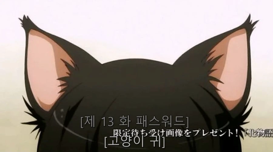 하네카와 흑발 네코 모습 보고 웃는 아라라기 - 이미지 2