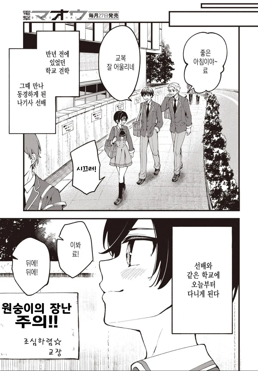 Ts)정발 좀 나왔으면 하는.manga - 이미지 5