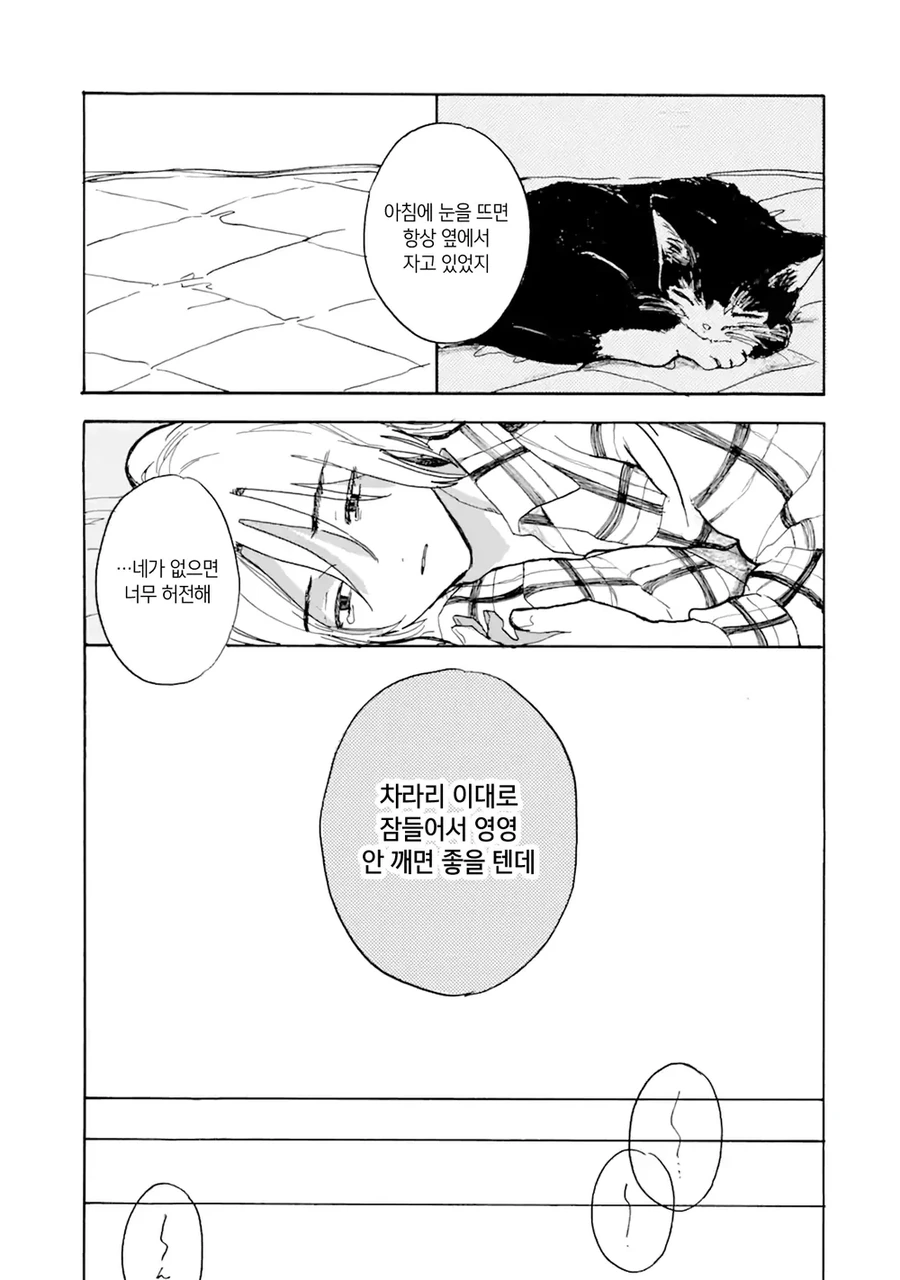 사고로 죽은 반려묘가 인간으로 환생해 내 앞에 나타난 만와.manga - 이미지 5
