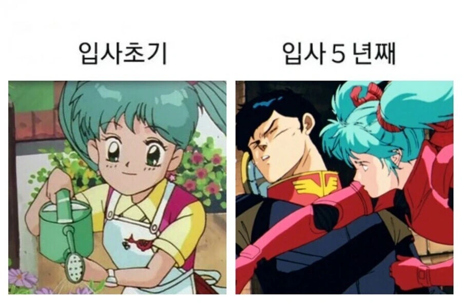 마법의 엔젤 스위트 민트-신기한 나라의 스위트 민트
