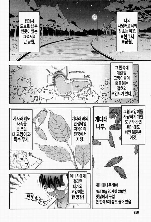 오밤중에 길고양이 만나러 가는 만화 - 이미지 2