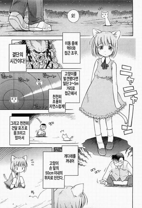 오밤중에 길고양이 만나러 가는 만화 - 이미지 3