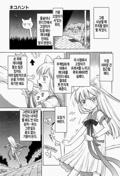 오밤중에 길고양이 만나러 가는 만화 - 이미지 5