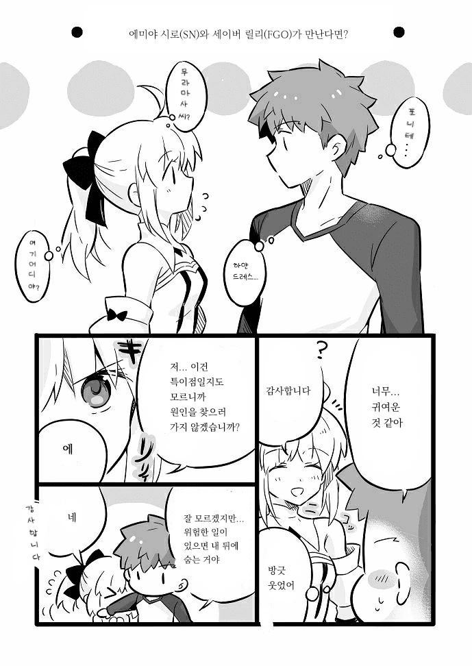 [fate[세이버릴리와 만난 에미야 시로 만화