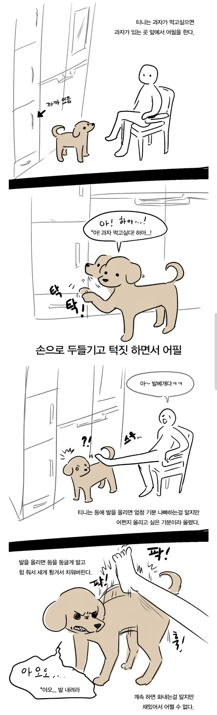 푸들의 지능을 보여주는 만화