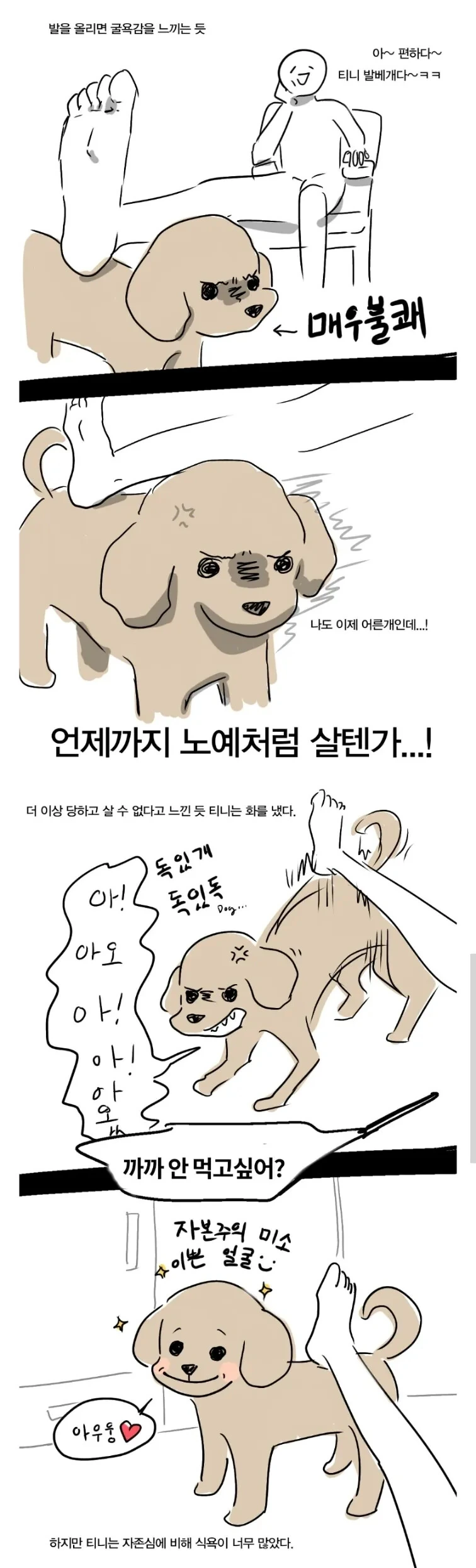 푸들의 지능을 보여주는 만화 - 이미지 2