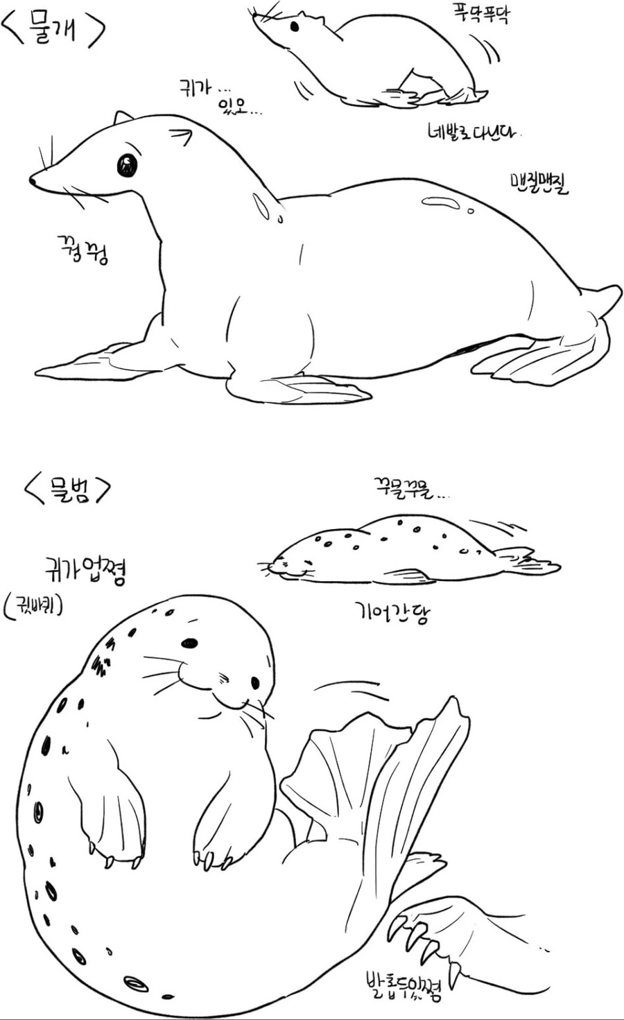 물개와 물범을 구분하는.manhwa