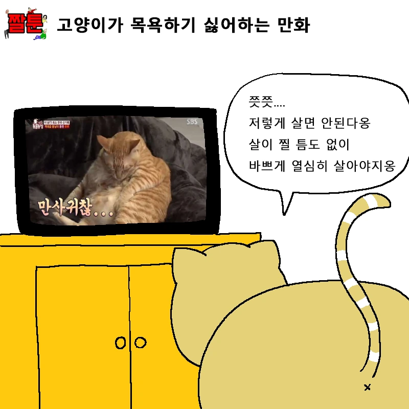 고양이 목욕시키는 만화.manga