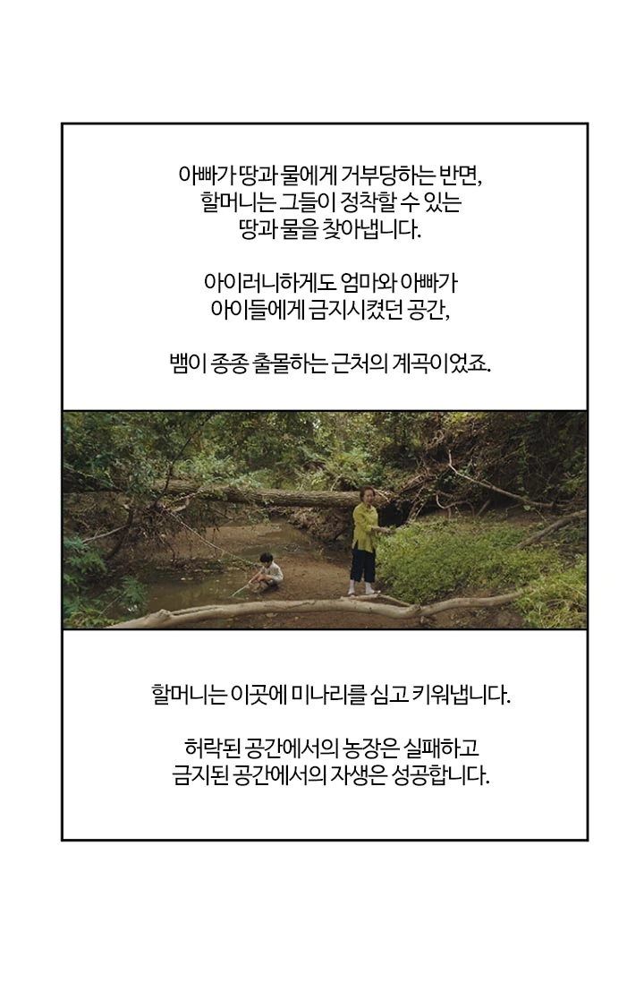 부기영화) 미나리 리뷰 - 이미지 4