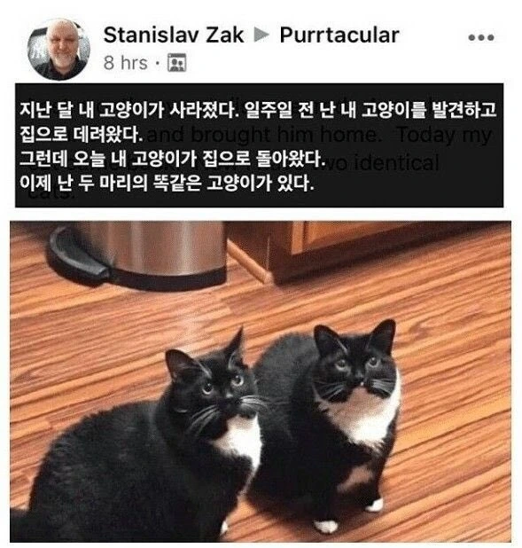어릴적 공포만화 클리셰.jpg