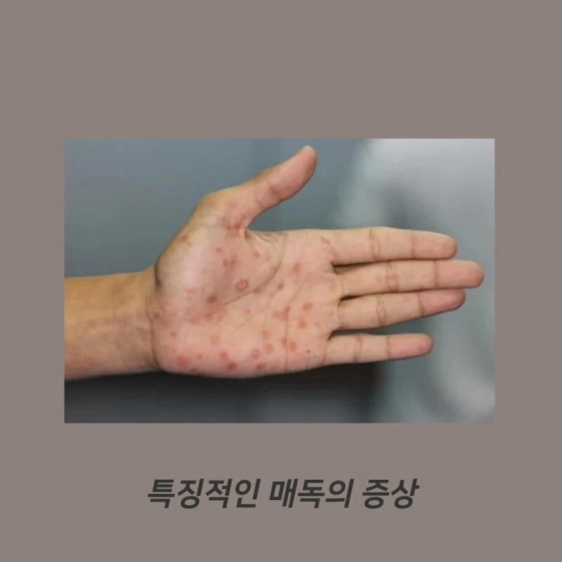 악의조직 여간부가 성교육 하는 manhwa - 이미지 11