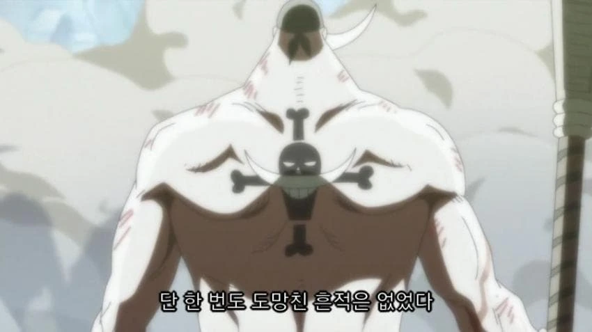 원피스) "단 한번도 도망친 흔적은 없었다"