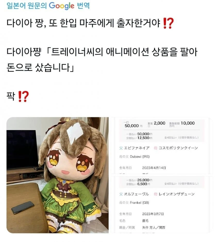 [말딸] 다야야 또 말딸에 투자한거니