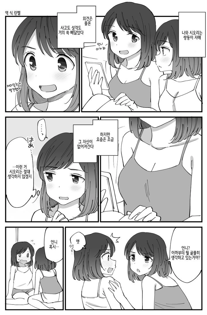 쌍둥이 자매 만화.manwha