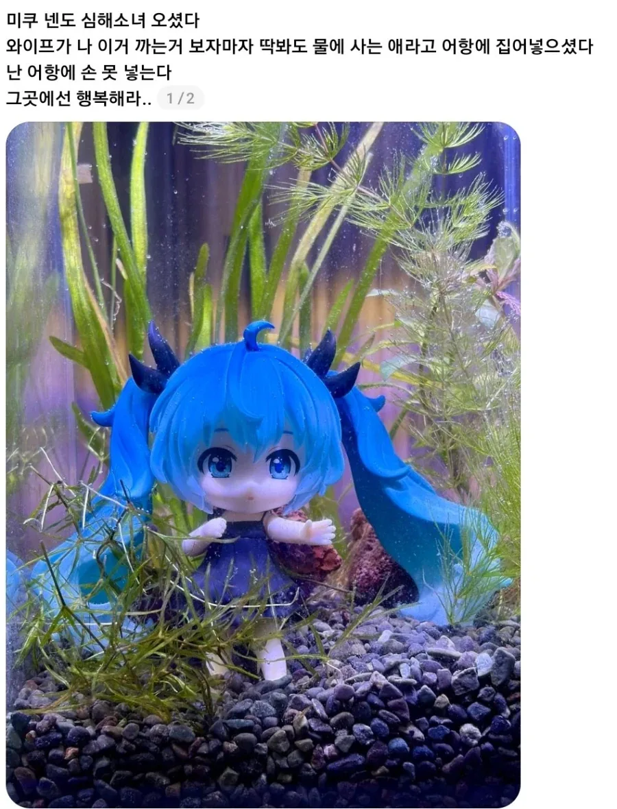 심해에 들어간 하츠네미쿠.jpg
