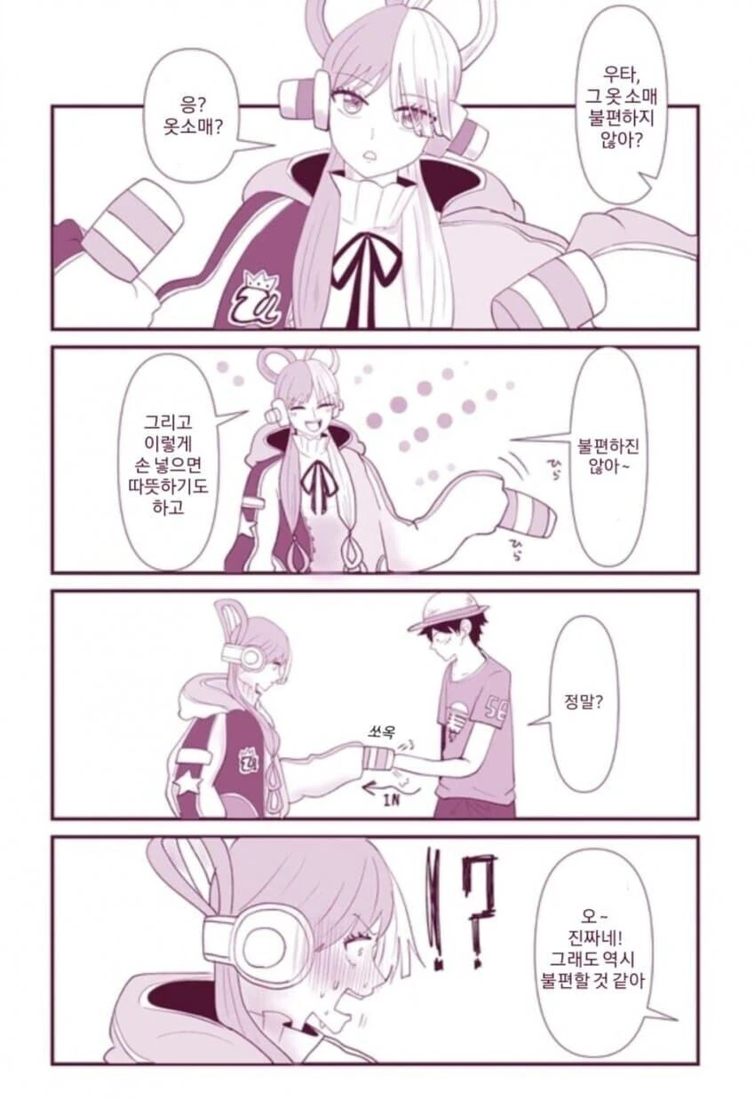 [원피스] 우타 안에 넣는 루피 만화