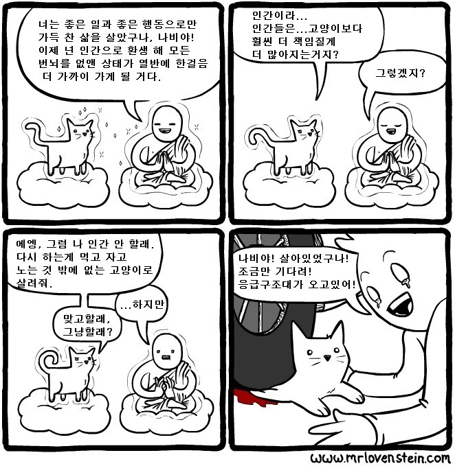 고양이별로 간 나비.MANHWA