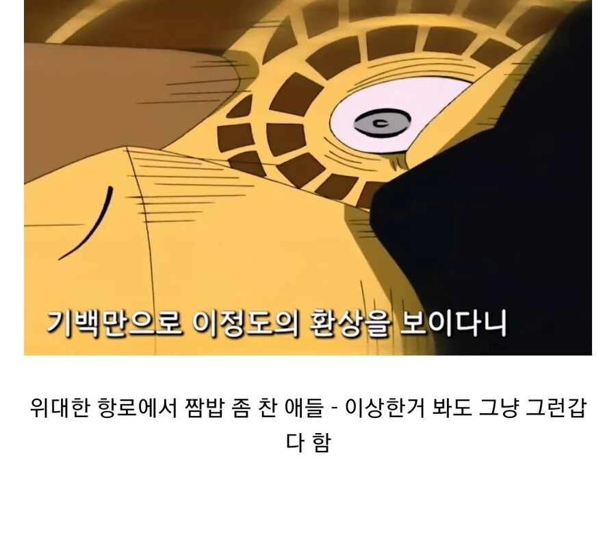 원피스)극과 극은 통한다.j0g - 이미지 2