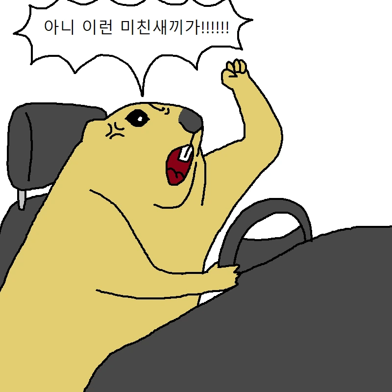 자동차 운전하다가 개빡치는 만화 - 이미지 14