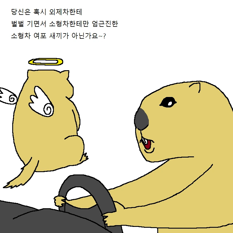 자동차 운전하다가 개빡치는 만화 - 이미지 17