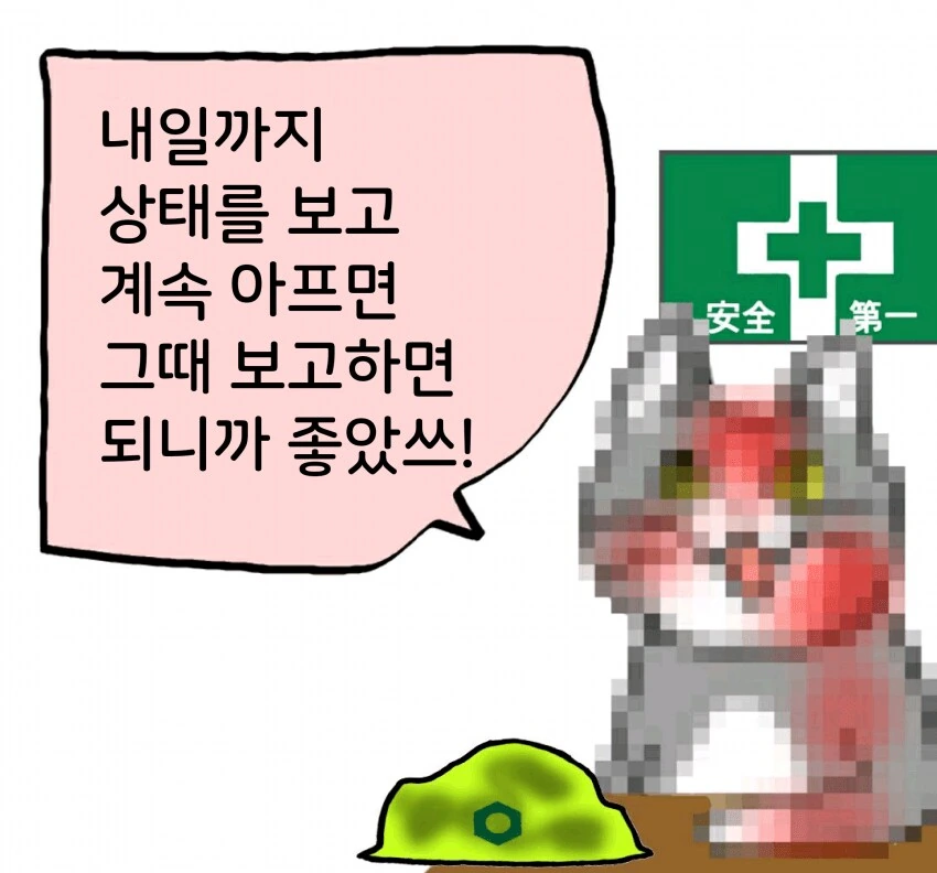 채-신 ㅈ소고양이 만화 - 이미지 7