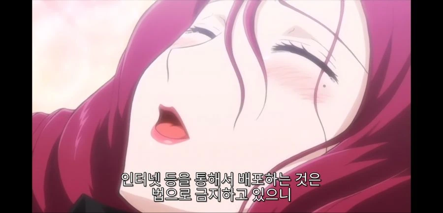 저작권 관련 애니임 - 이미지 3