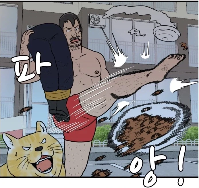 캣맘을 4컷으로 완벽히 요약한 만화