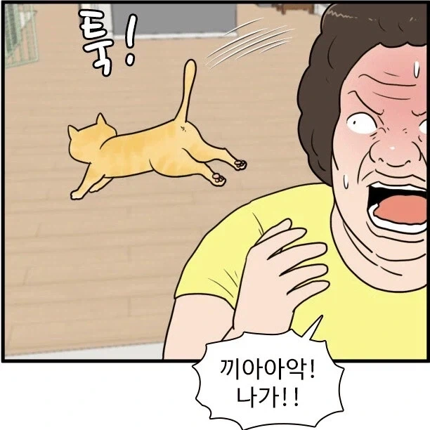 캣맘을 4컷으로 완벽히 요약한 만화 - 이미지 4