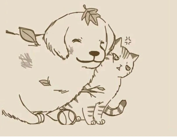골댕이와 고양이 만화 - 이미지 5