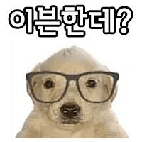 Fate) 캐새댁이 소이치로한테는 보여주지 않는 표정.jpg - 이미지 4