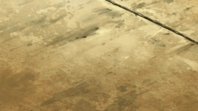 원피스) 야애니 작화 소리 들었던 장면.gif - 이미지 3
