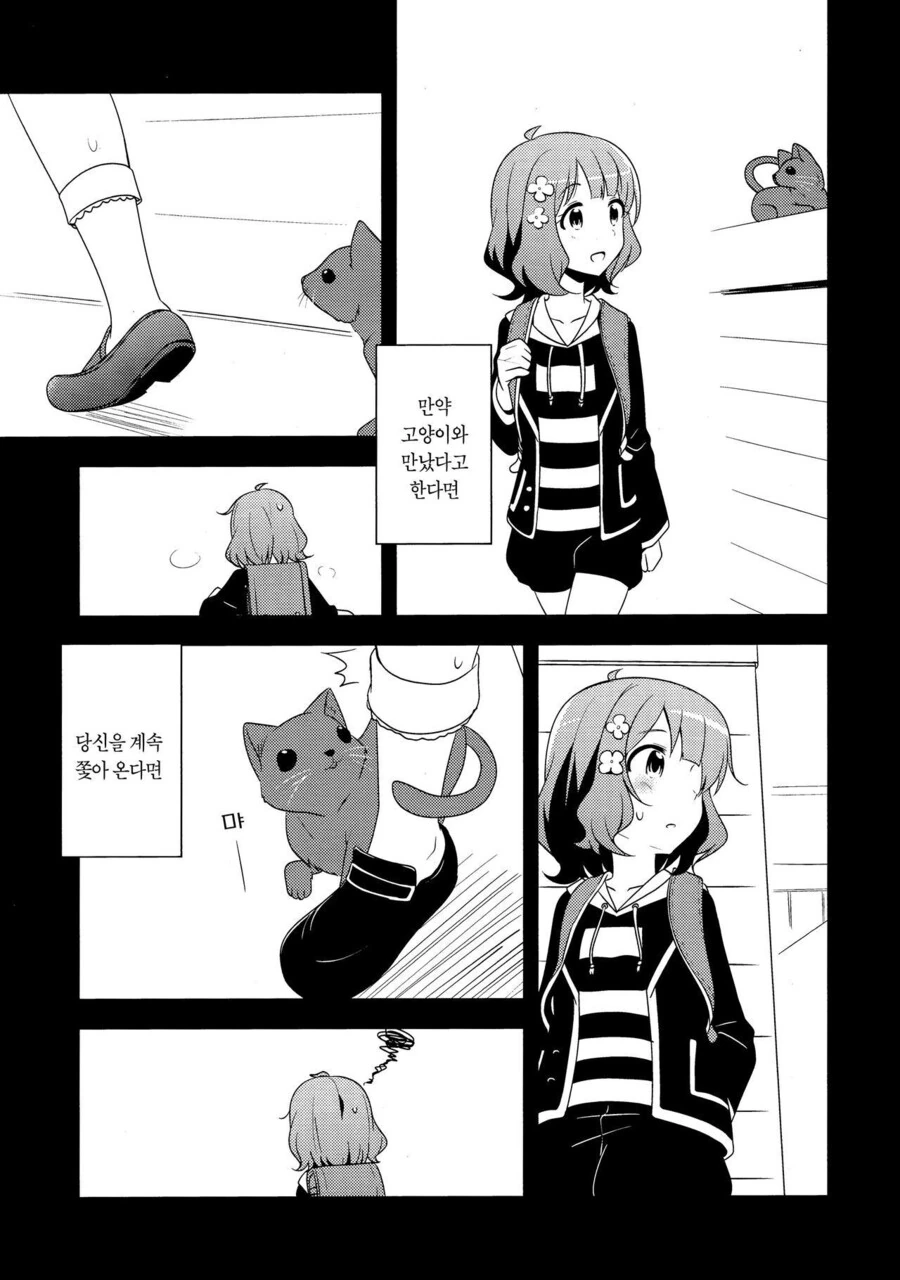 @)고양이로 치자면 만화 - 이미지 3