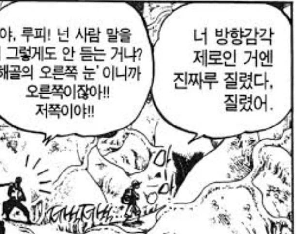 원피스)루피조차 조로를 걱정하는 경우 - 이미지 3