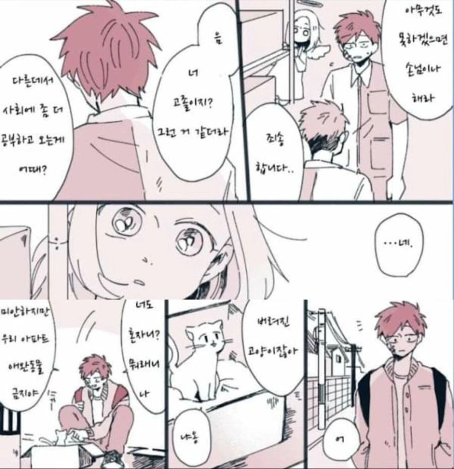 천사가 모태솔로 남자 결혼시켜주는.manhwa - 이미지 10