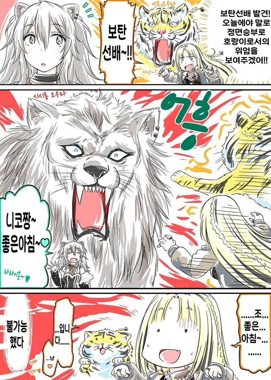 버튜버)사자에게 덤비는 호랑이 니코땅.comic