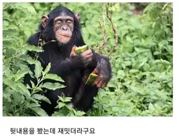 아줌마랑 데이트 하는.manga - 이미지 4