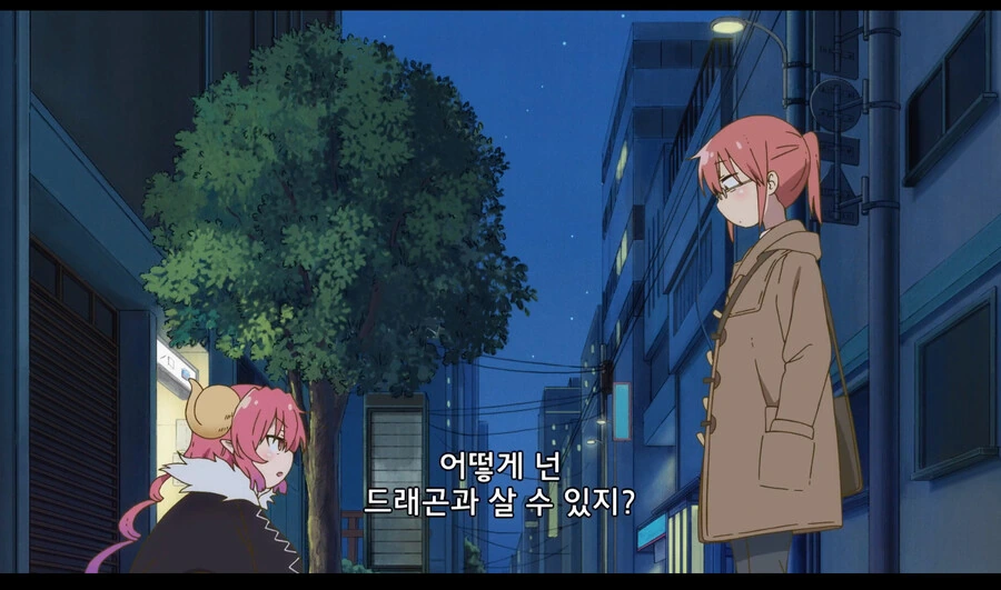 메이드래곤]이루루 쪼꼬매
