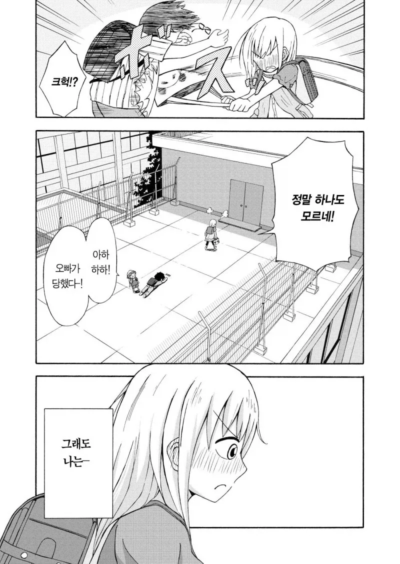 짝사랑하는 남자애는 여동생 관찰 일지를 쓴다.manga - 이미지 5
