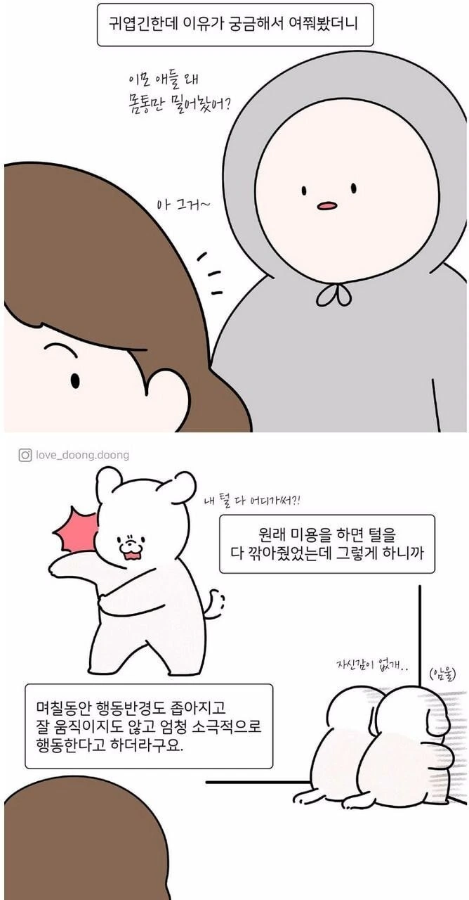 댕댕이 미용할 때 다리털만 안깎은 이유.manhwa - 이미지 2