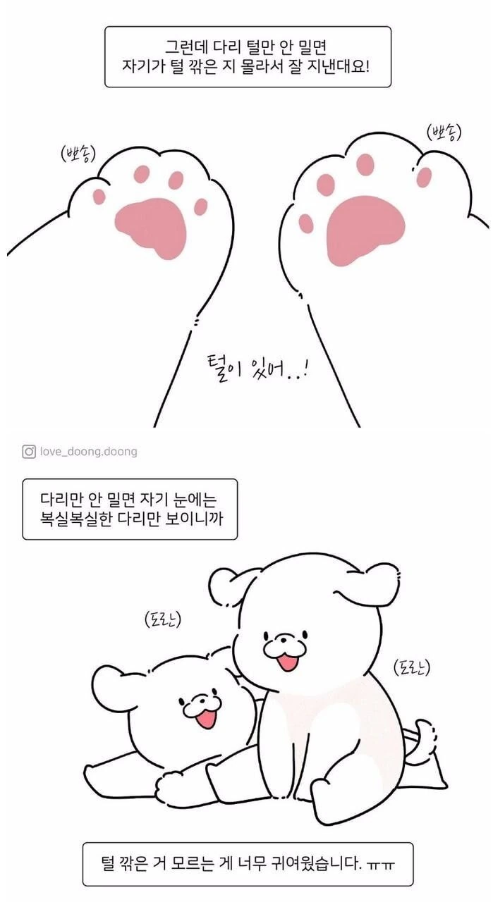 댕댕이 미용할 때 다리털만 안깎은 이유.manhwa - 이미지 3