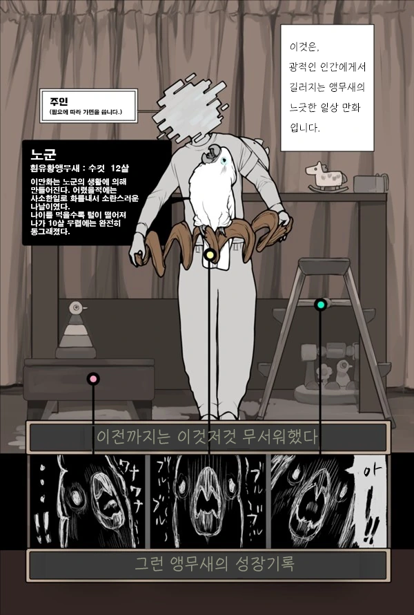 앵무새 만화 식질해왔어! - 이미지 2