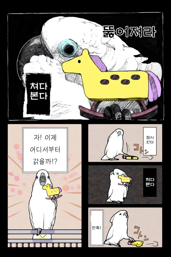 앵무새 만화 식질해왔어! - 이미지 4