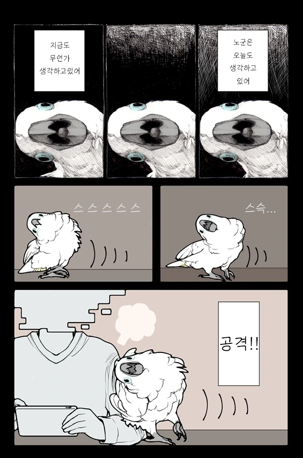 앵무새 만화 식질해왔어! - 이미지 5