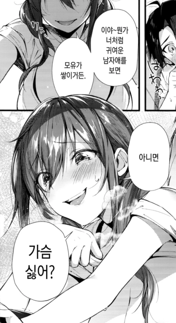 모성애가 강한 누나.manga