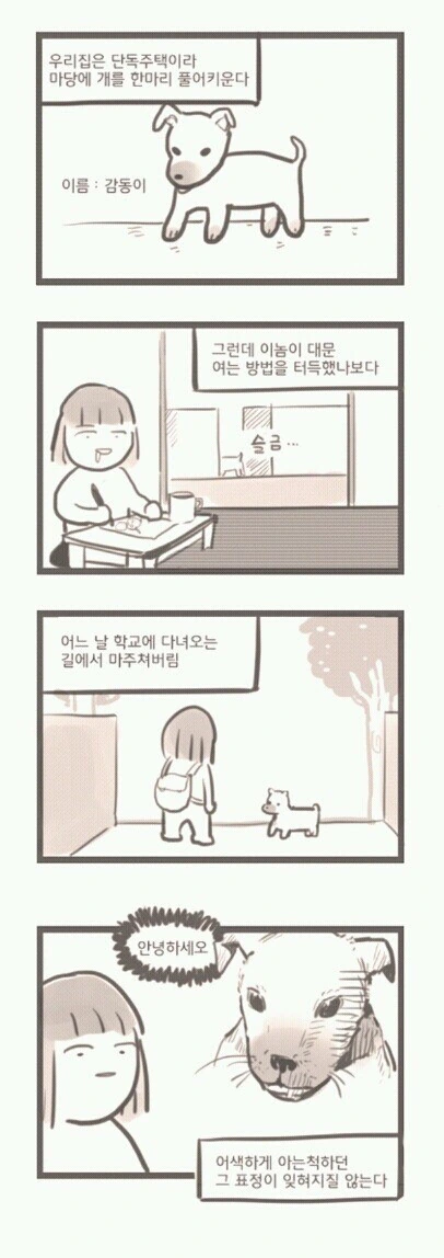 길에서 우리집 강아지 마주친.manhwa